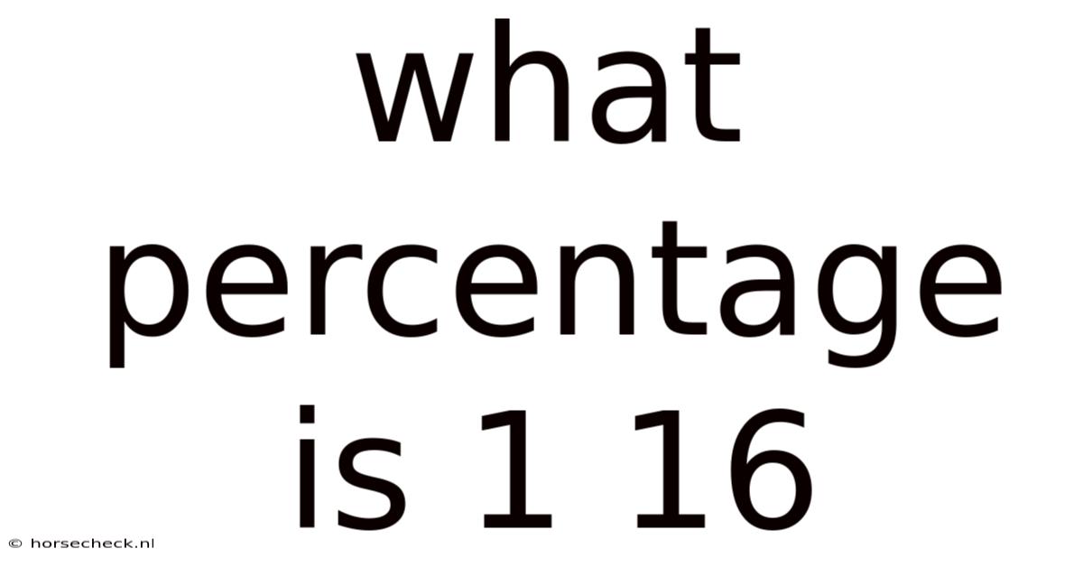 What Percentage Is 1 16