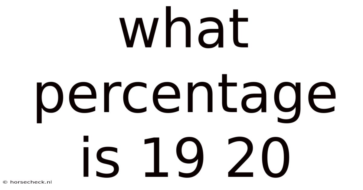 What Percentage Is 19 20