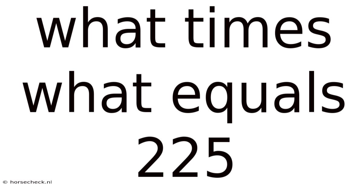 What Times What Equals 225