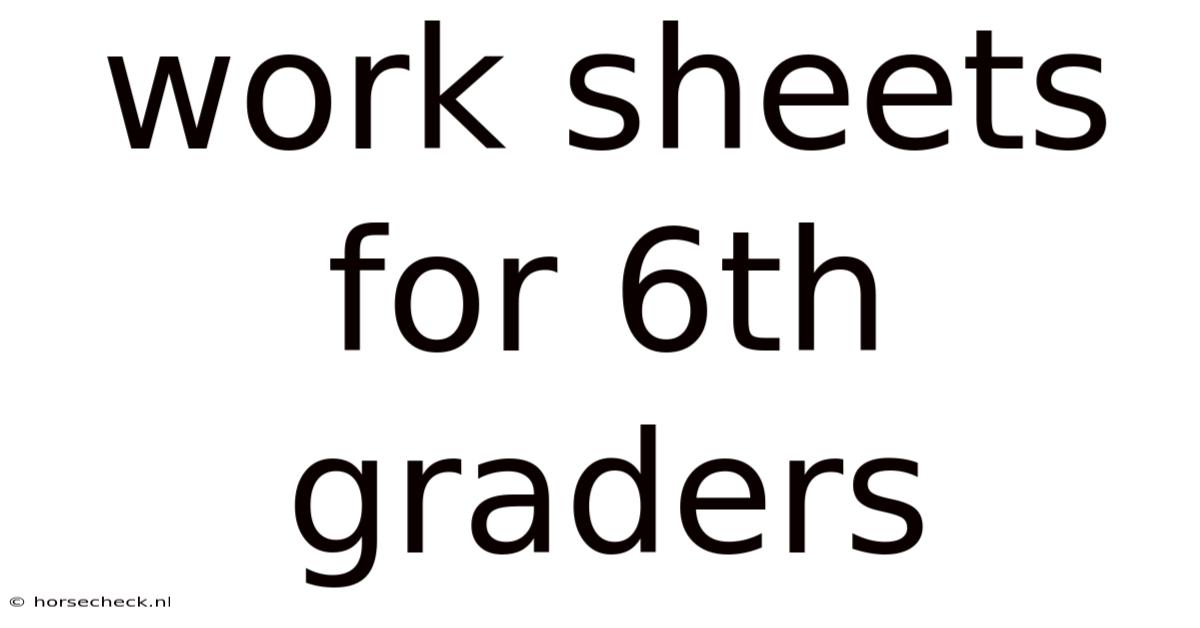 Work Sheets For 6th Graders